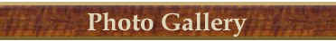 Origins Banner